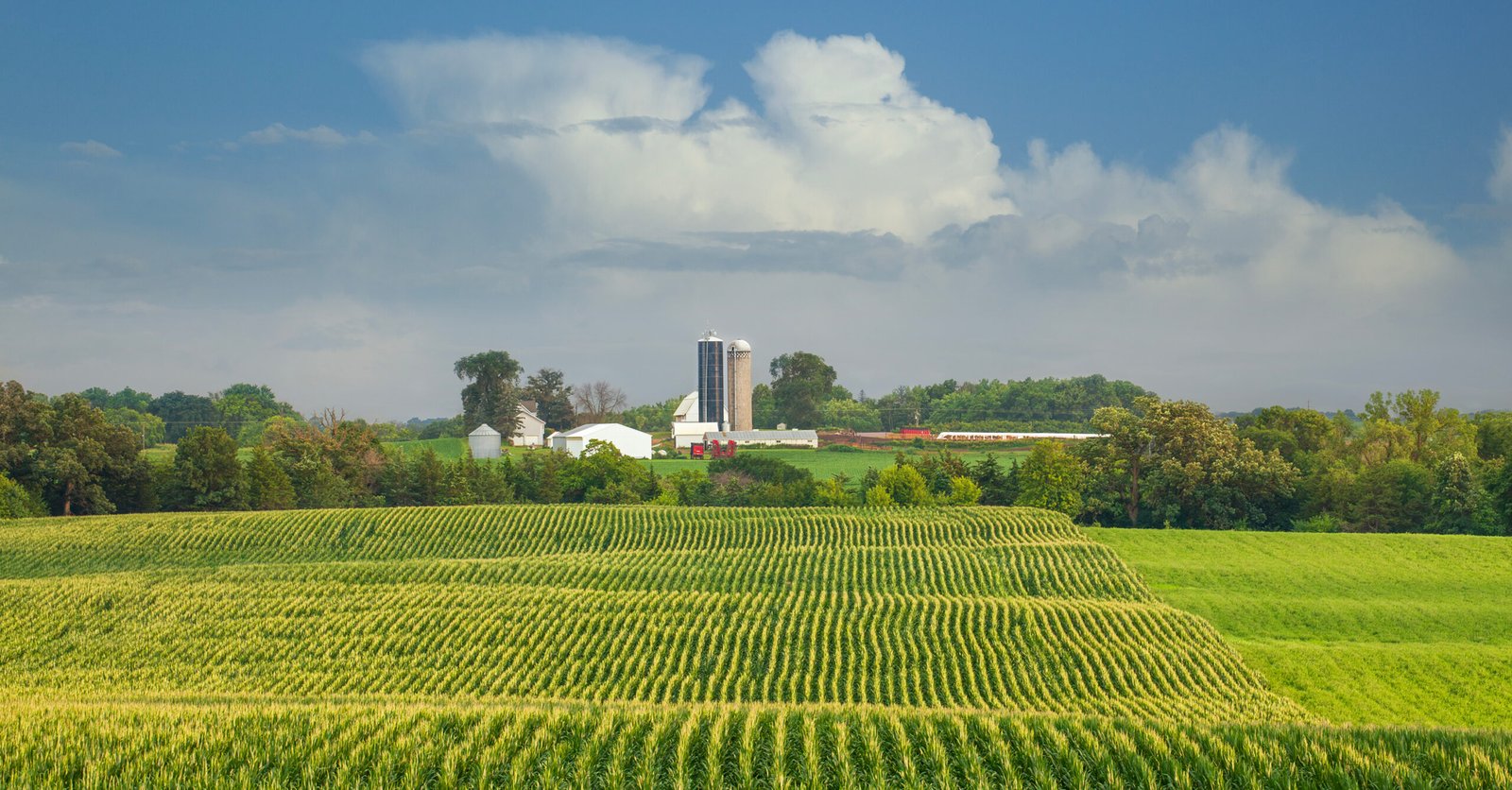 Sustainability of the supply chain